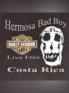 Harley Davidson Costa Rica Skull Graphic Tee XL Faded Biker Moto